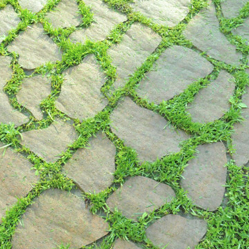 Thumbnail Petragarden / 0